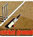 Image result for Cricket Ground Animated