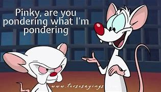 Image result for Thank You Pink Pinky and the Brain