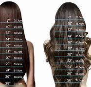 Image result for 20 Inch Extensions