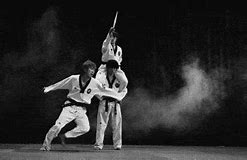 Image result for Martial Arts Karate Taekwondo