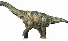 Image result for Biggest Dinosaur to Ever Exist