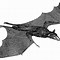 Image result for Flying Vampire Bat Drawings