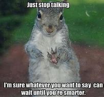 Image result for Funny Squirrel Exercise Memes