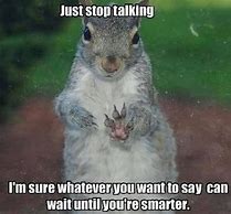 Image result for Angry Squirrel Meme
