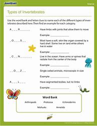 Image result for Year 4 Science Worksheets