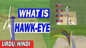 Image result for Hawk's Eye Cricket