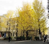 Image result for Waseda University Front