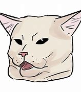Image result for Sad Cat Crying Meme