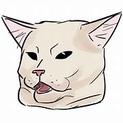Image result for Crying Cat Positive Sign Meme