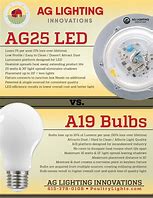 Image result for A15 vs A19 Bulb