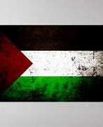 Image result for Palestine Flag Black