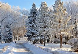 Image result for Russia Snow