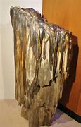 Image result for Fairy Petrified Wood
