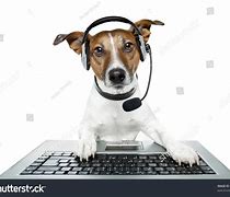 Image result for Dog with Phone and Computer