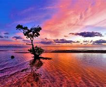 Image result for Pink Beach 4K