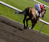 Image result for Old Horse Racing Movie Animation