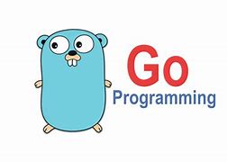 Image result for Go Programming Icon