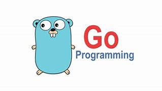 Image result for What Is the Go Program
