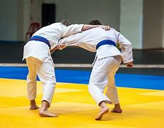 Image result for Judo Jujitsu
