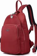 Image result for Small Backpack Purse