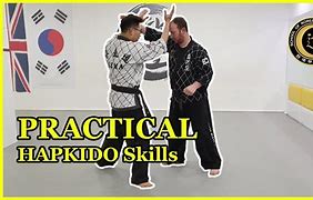 Image result for Hapkido Throws