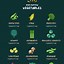 Image result for Vegetables and Protein