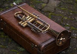 Image result for Trumpet Accessories