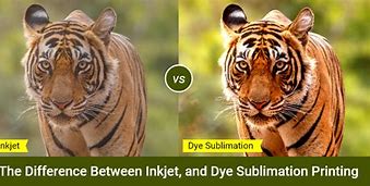 Image result for Dye Sub vs Inkjet