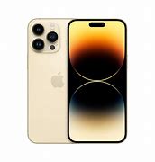Image result for iPhone 6 Pro Max Gold