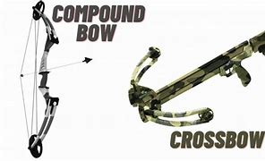 Image result for Crossbow vs Compound Bow