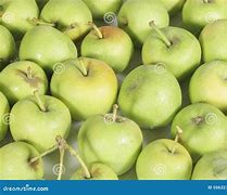 Image result for Pic of Green Apple Varieties