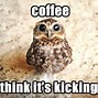 Image result for Coffee Time MEME Funny
