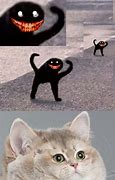 Image result for Cursed Cat Meme Stock