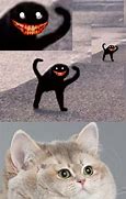 Image result for Cat Meme Wallpaper Cursed