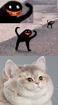 Image result for Cursed Happy Cat Meme
