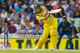 Image result for Cricket World Cup