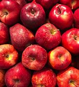 Image result for Apple Varieties for Allergy