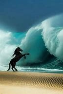 Image result for 4 Racing Horses