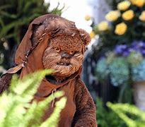Image result for Ewok vs Wookie
