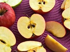 Image result for Apple Tree and Its Seed