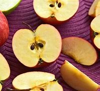 Image result for Apple Tree Seeds
