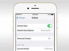 Image result for How to Turn On International Roaming iPhone
