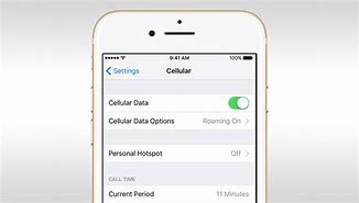Image result for Data Roaming Off iPhone