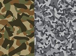 Image result for Camouflage Examples