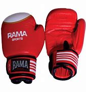 Image result for Boxing Equipment