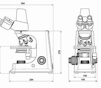 Image result for Digital Microscope 1000X