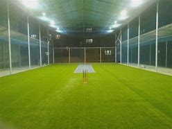 Image result for Cricket Indoor Top View