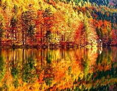 Image result for Hipster Fall Wallpaper