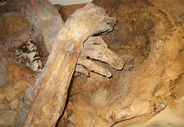 Image result for Mummie Di Venzone