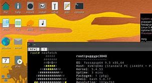 Image result for Fossa Puppy Linux